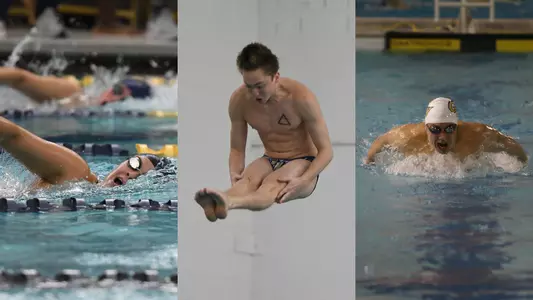 Isabela Patino, Peter Nachtwey, James Torrez