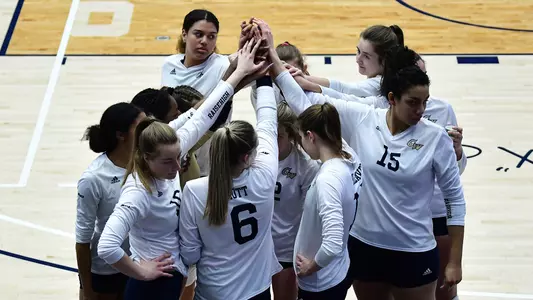VB Team