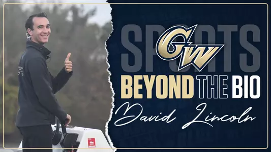 GRAPHIC: Beyond the Bio with David Lincoln