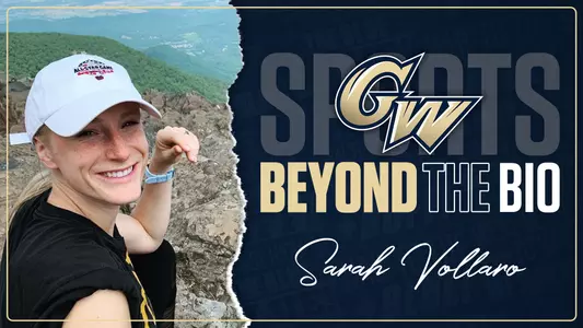 Vollaro: Beyond the bio