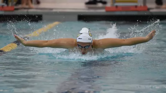 Carly Perri swims the 100 fly vs. Virginia Tech.