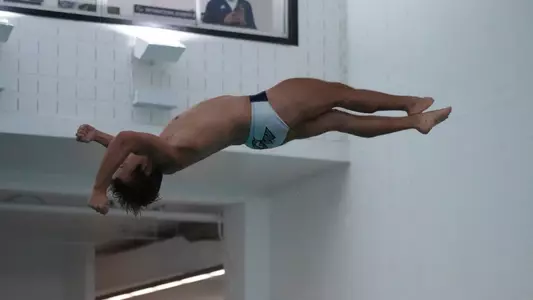 Men's swimming and diving diving into the Smith Center pool