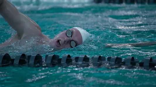 Men's Swimming and Diving practice photo