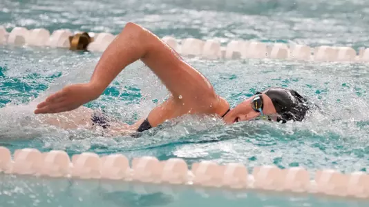 Women's swimming and diving at the Smith Center