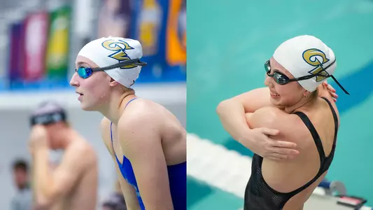 DeAngelis/Topolewski split image