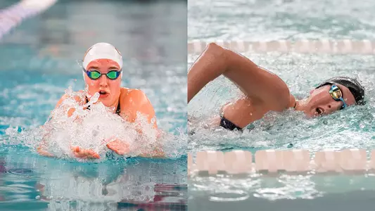 DeAngelis/Topolewski split image