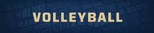Buff Volleyball Button