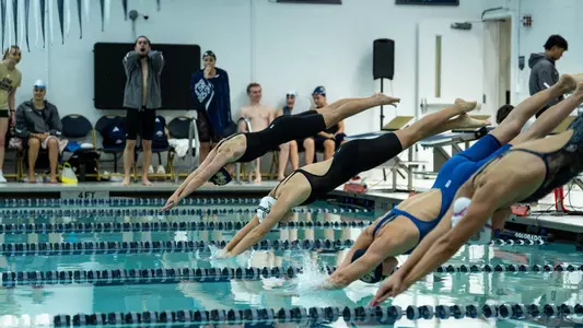 Swimming & Diving dives into pool during intrasquad