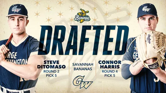 Steve DiTomaso / Connor Harris Bananas Graphic