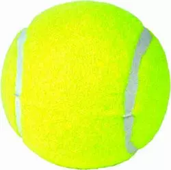 Gardner-Webb Alumni Tennis Luncheon, November 8th at 1:00 p.m. Image