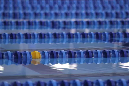 Gardner-Webb Swimming Heads To USA Winter Nationals Image