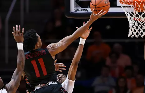 GAME PREVIEW: 'Dogs Set To Host High Point In Blackout Game Image