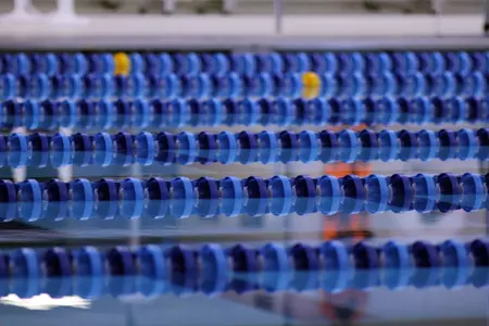 Gardner-Webb Swimming Shines Outside of The Pool Image