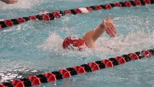 men's swimming vs limestone