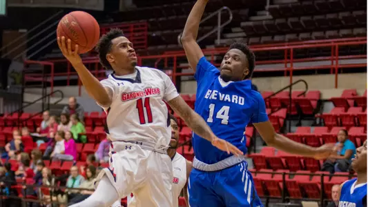 Efianayi vs. Brevard