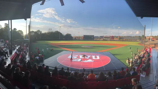 Dual on the Diamond