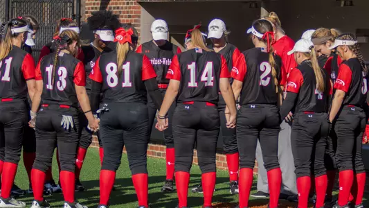 Team Huddle Softball