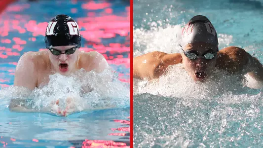 SWIM: Mintz and Snover CCSA