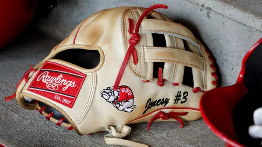 Baseball Glove