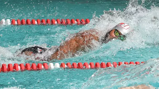 Seggio Bernardina at Davidson 2020