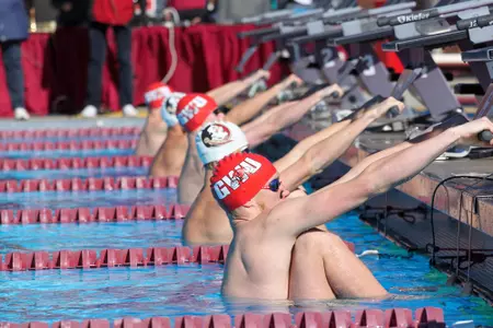 swimvsfsu