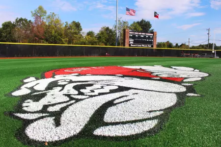 Brinkley Softball Stadium