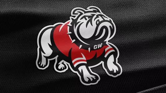 Dog Jersey