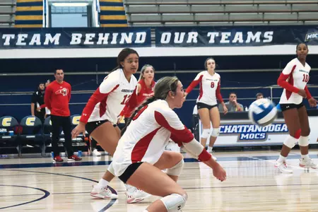 Volleyball Dig