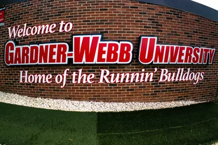 Baseball sign