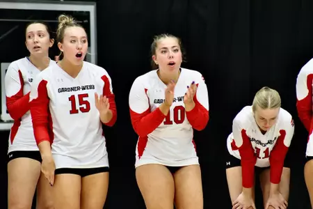 VB Bench