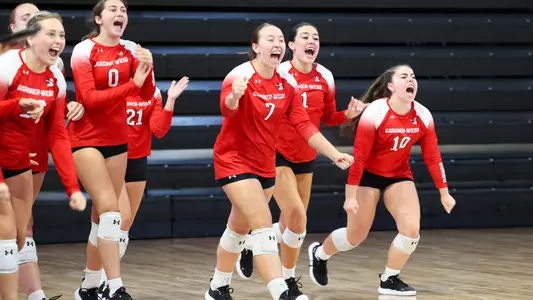 Volleyball Team Celly