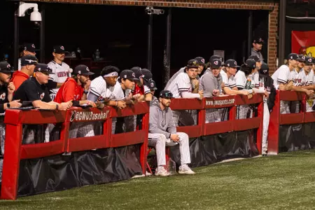 Baseball 2025