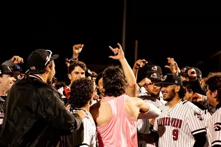 Baseball Walkoff Win
