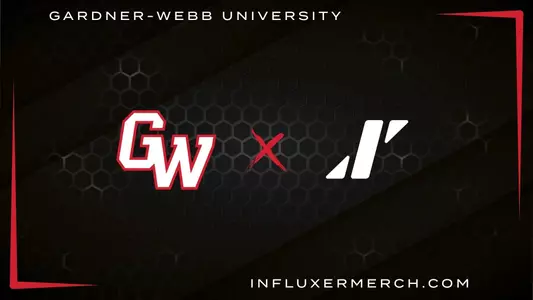 Influxer Partnership