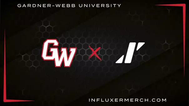 Influxer Partnership