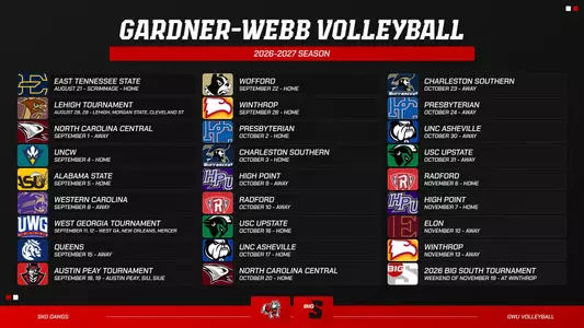Volleyball 20226 B