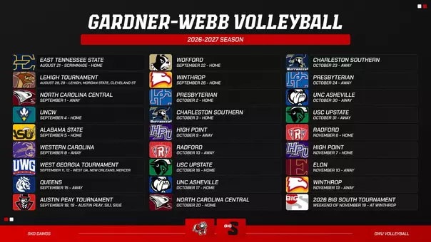 Volleyball 20226 B