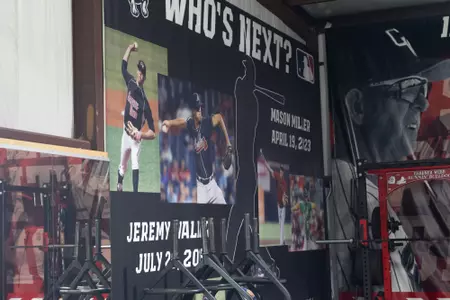 Baseball Hitting Facility