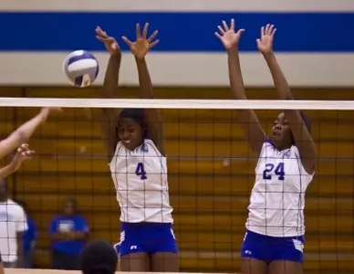 Harrison VB