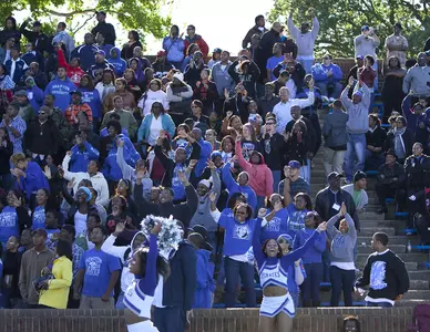 Footballl_Fan_Action