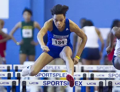 Norman_hurdles