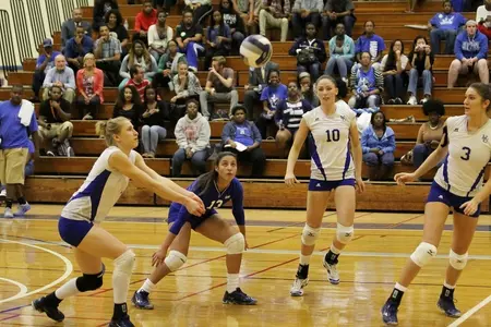 VB_team_dig