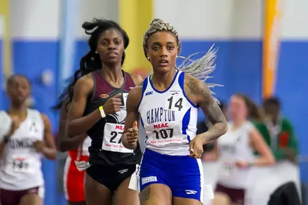 Brown_running