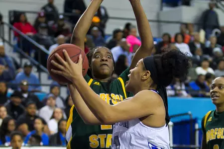 Sayle_layup