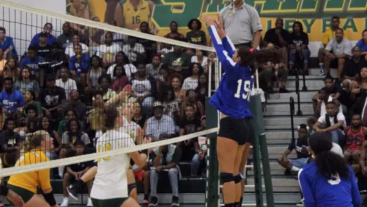 Sasha Saric was named to the all-tournament team.