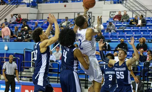 MBKB-Marrow-Longwood-Trny
