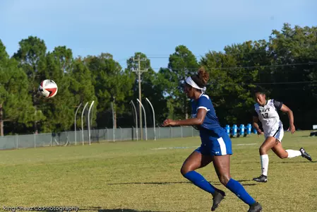 WSOC-AlixAllen