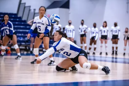 VB-Calloway