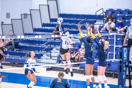 VB-Calloway