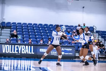 VB-IRVIN